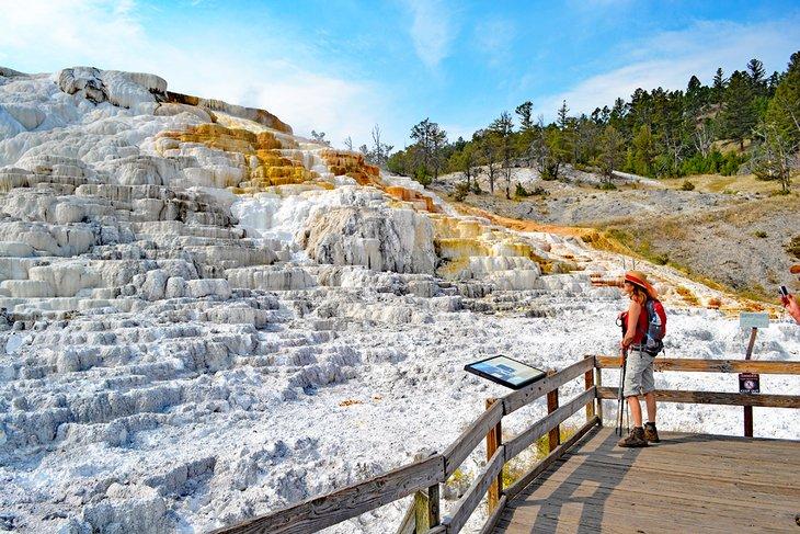 Terrasses de travertin à Mammoth Hot Springs, Parc National de Yellowstone