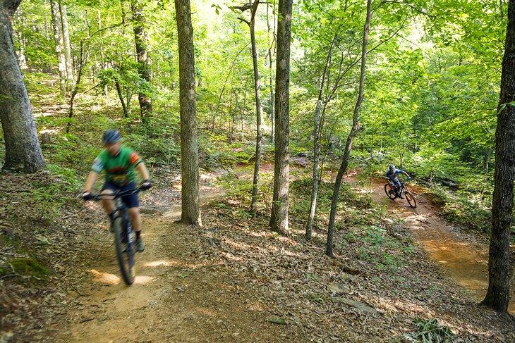 Cyclistes de montagne au parc d'État de Paris Mountain