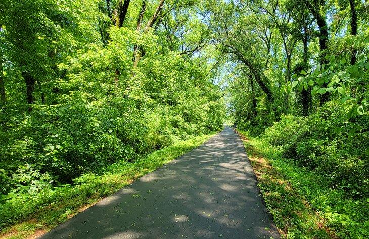 Sentier pavé à travers les bois sur le Swamp Rabbit Trail