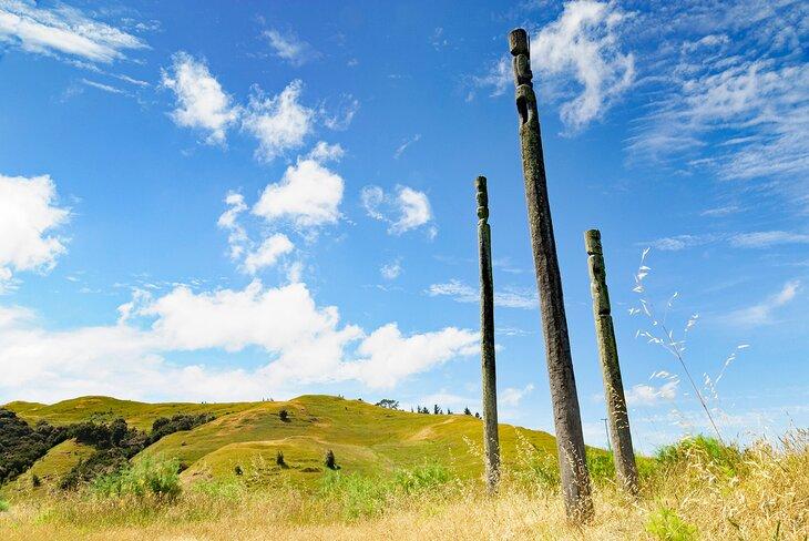 Otatara Pa : un village maori fortifié
