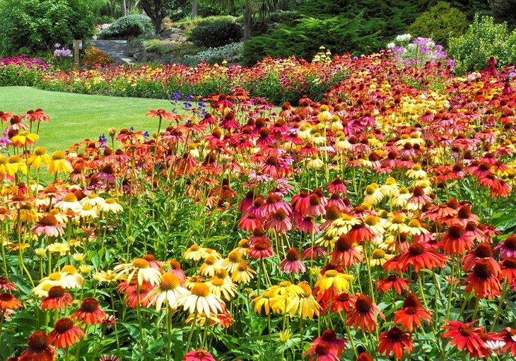 Jardins botaniques de Napier