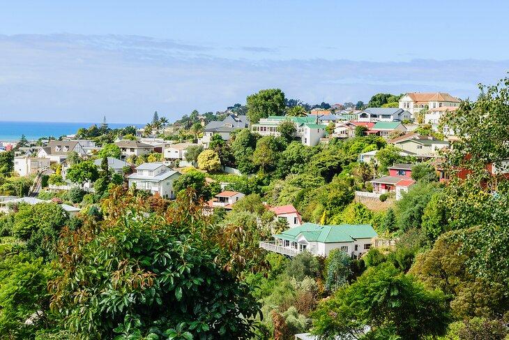 Bluff Hill