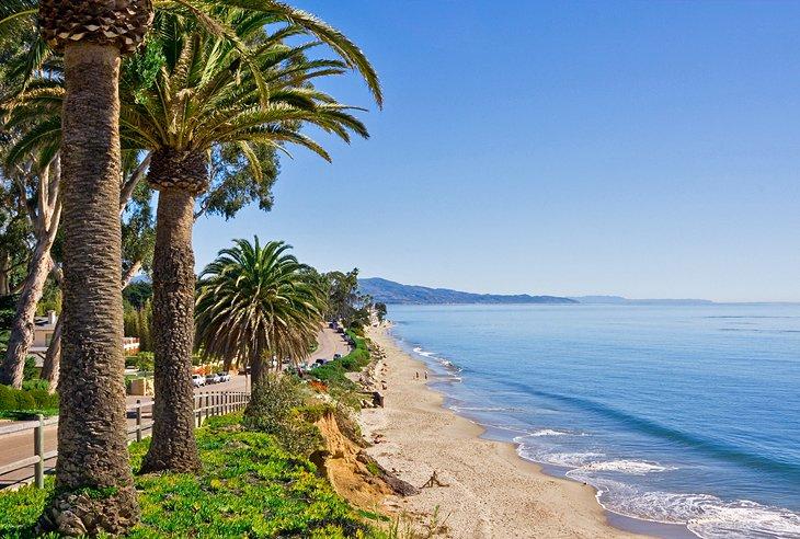 Palmeras a lo largo de Butterfly Beach