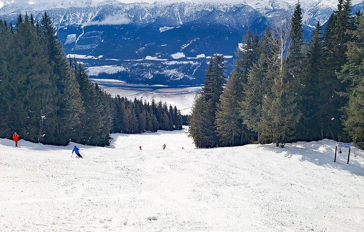 Vista de una pista en Revelstoke Mountain Resort