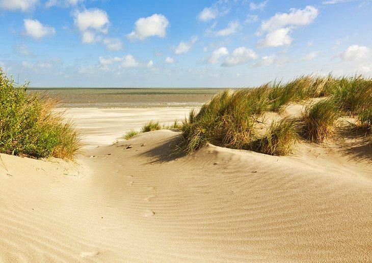 Plage et dunes à Knokke-Heist