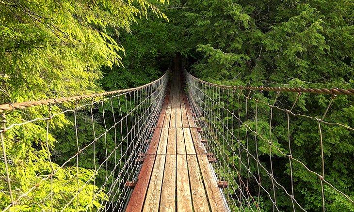 Puente colgante en el Parque Estatal Fall Creek Falls