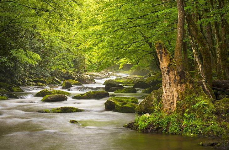 Río Tremont cerca de Gatlinburg, TN