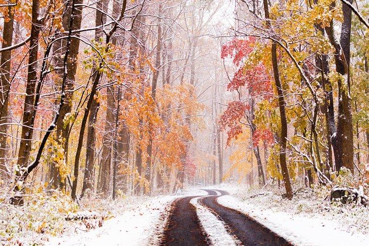 Nevada temprana en una carretera de montaña de Tennessee
