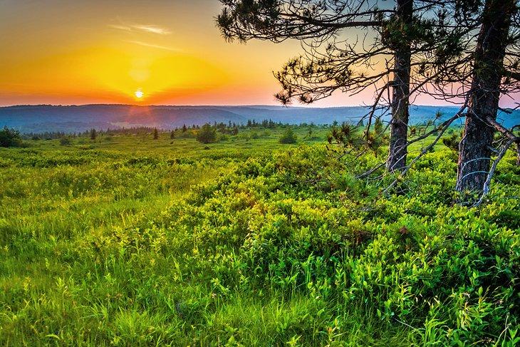 Dolly Sods Wilderness al atardecer