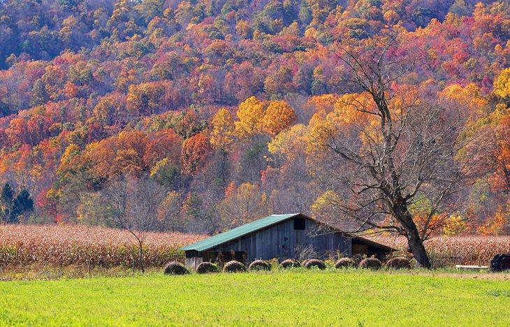 Otoño en los campos de los Apalaches