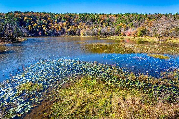 Colores de otoño en un lago en el Parque Estatal Robbers Cave