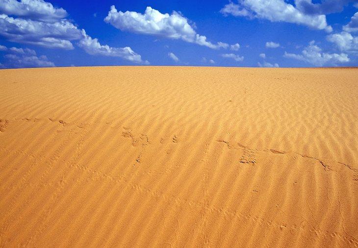 Dunas de arena en el Parque Estatal Little Sahara