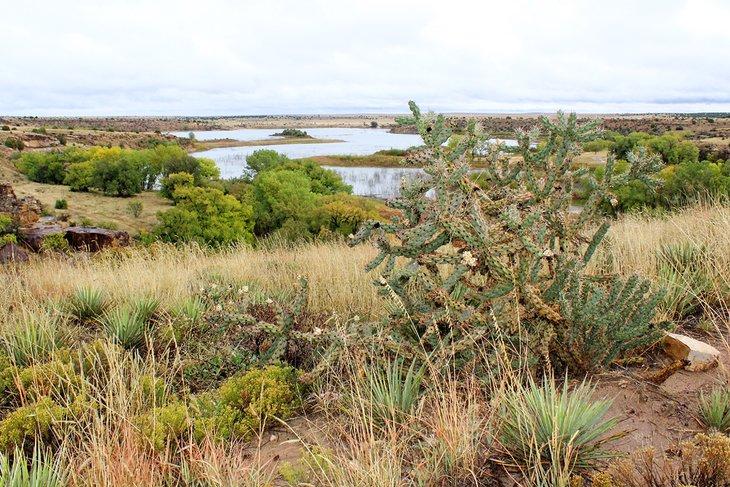Parque Estatal Black Mesa