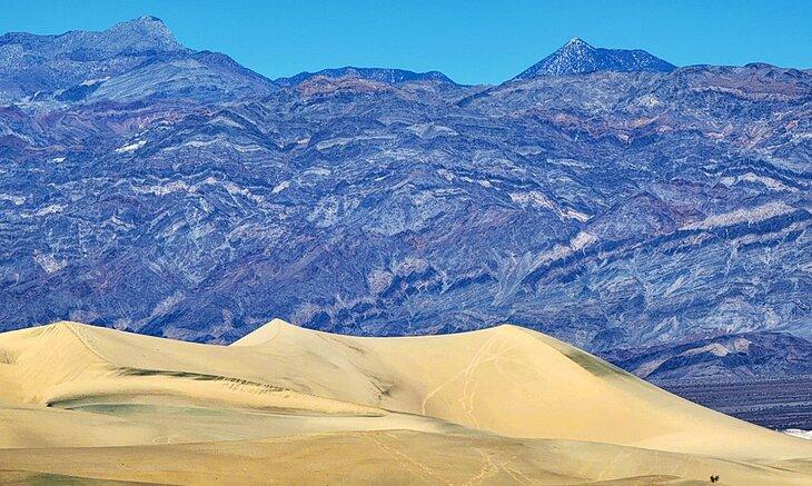 Dunes de sable à Stovepipe Wells dans l'après-midi