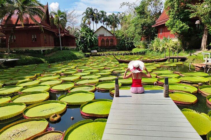 Frau sitzt auf einem Steg und bewundert Riesenlotusblätter in Phuket, Thailand