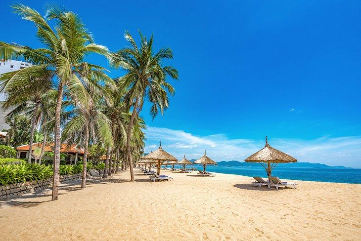 Palmengesäumter Strand in Nha Trang