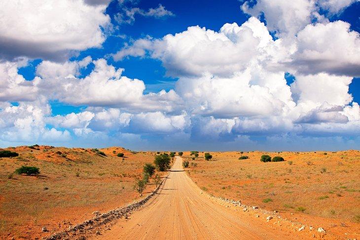 Parc Transfrontalier Kgalagadi