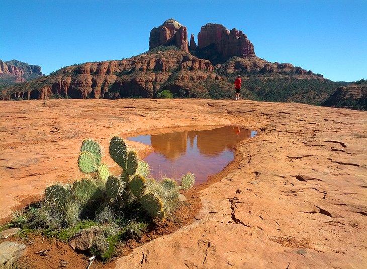 Roca Catedral en Sedona