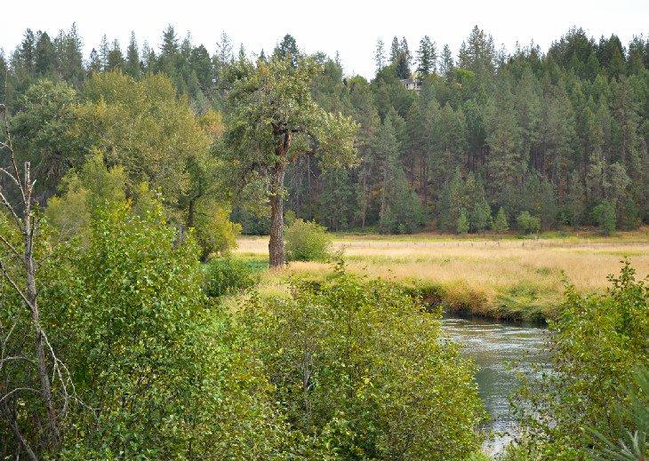 Área Natural del Río Little Spokane