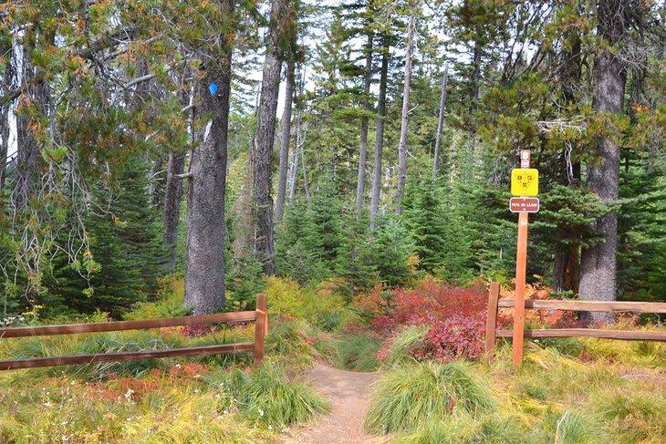 Cabecera alternativa del sendero Kit Carson Loop