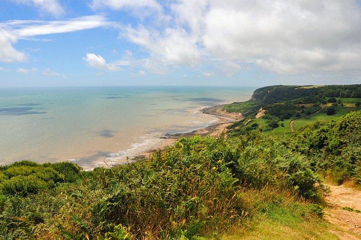 Reserva Natural del Parque del Campo de Hastings