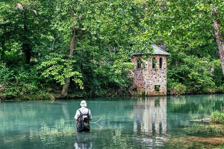 Pesca con mosca en Bennett Springs en Missouri
