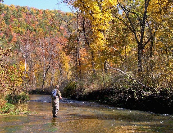 Pesca de trucha en Missouri