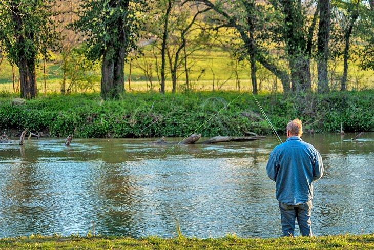 Pesca de trucha en los Ozarks