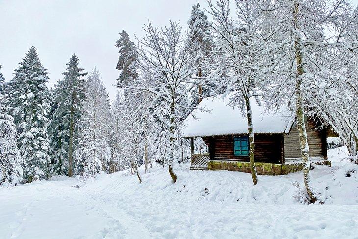 Cabaña en la Selva Negra cerca de Baiersbronn