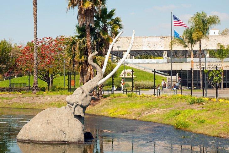 Museo Page y La Brea Tar Pits