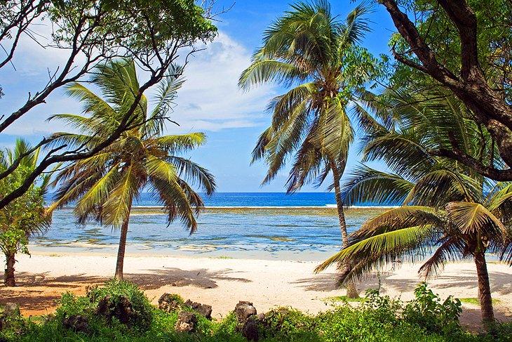 Playas de la Costa Sur