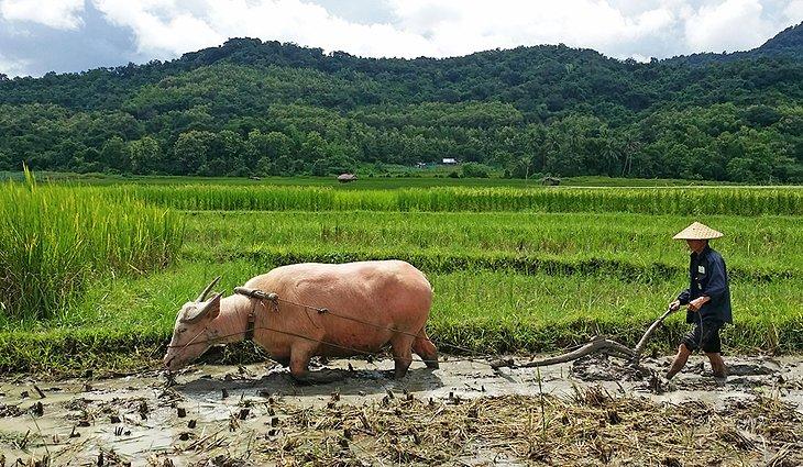 La Ferme Living Land