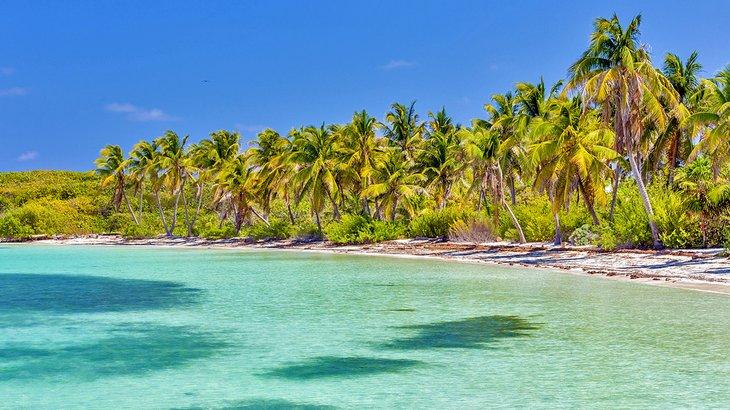Plage tropicale sur Isla Contoy