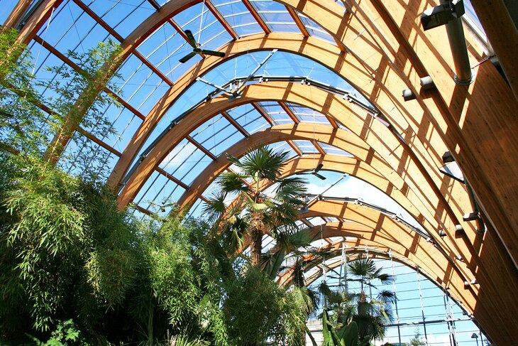 Wintergarten Sheffield