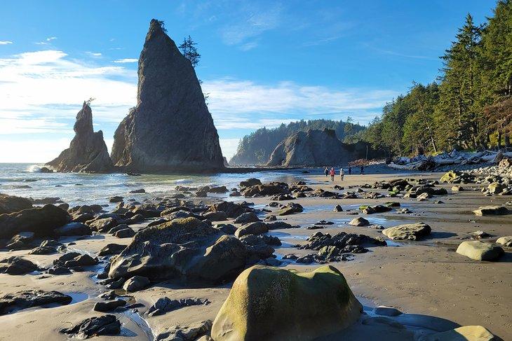 Rialto Beach, in der Nähe des Mora Campingplatzes