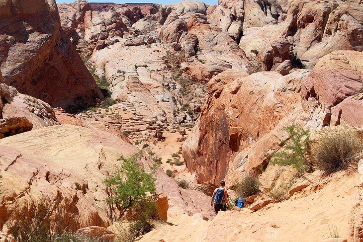 Sendero de los Domos Blancos, Parque Estatal Valley of Fire