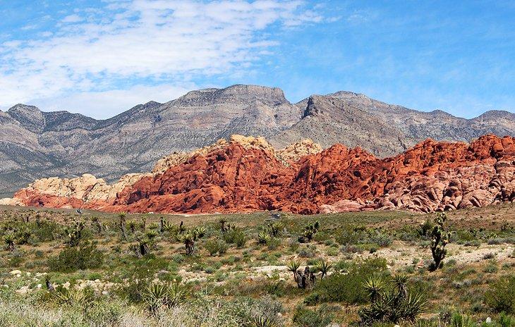 Colinas Calico, Área de Conservación Nacional del Cañón Red Rock