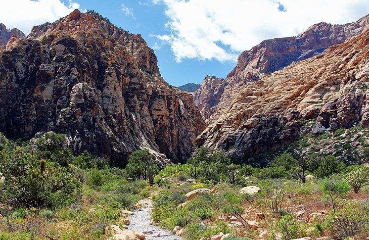 Cañón Ice Box, Área de Conservación Nacional del Cañón Red Rock