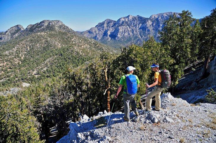 Excursionistas en el desierto de Mount Charleston