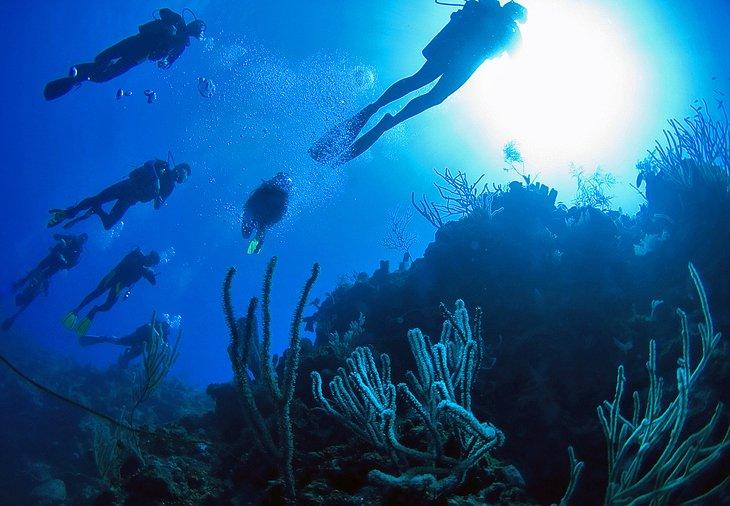 Buceo y Snorkel