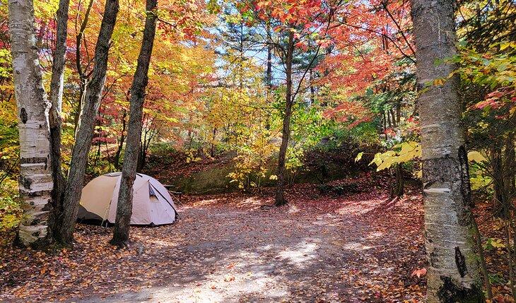 Camping en la sección A