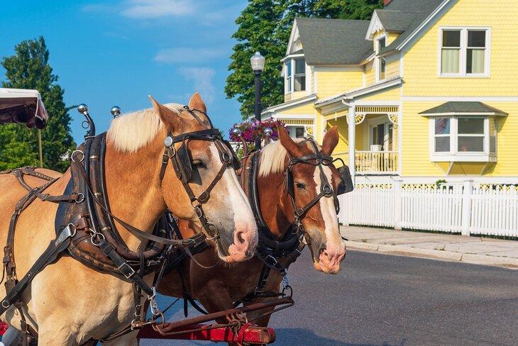 Caballos tirando de una carroza en Mackinac Island, Michigan