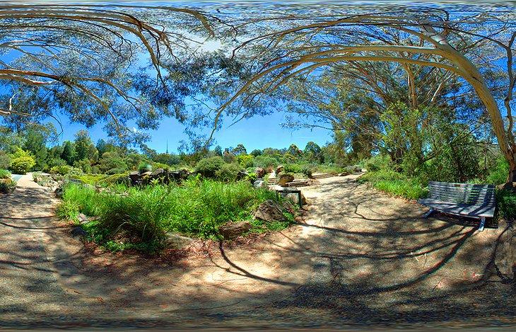 Jardines Botánicos Nacionales Australianos