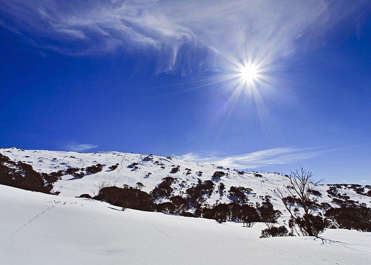 Montañas Nevadas