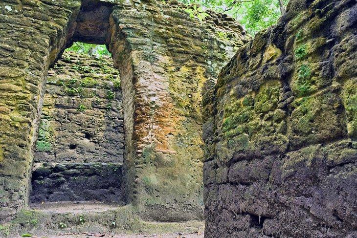 Maya-Ruinen in El Pilar