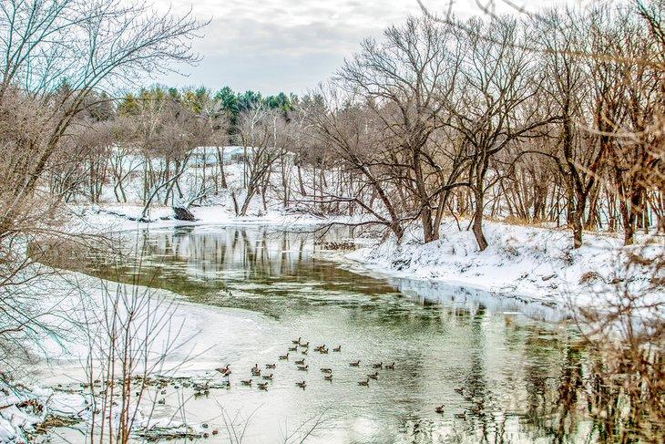 Un jour d'hiver sur la rivière Cedar à Waverly