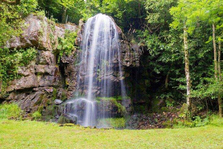 Kilfane Glen y Cascada