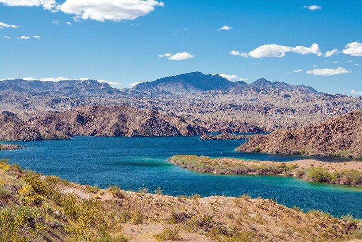 Lac Mohave
