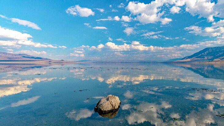 Lac Walker