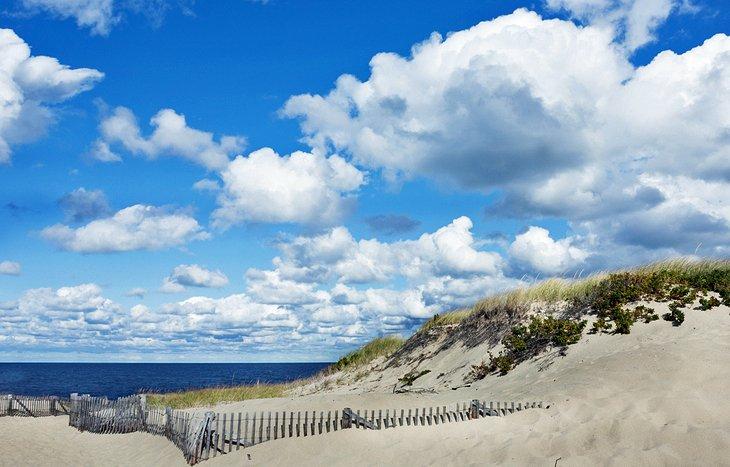Cape Cod National Seashore